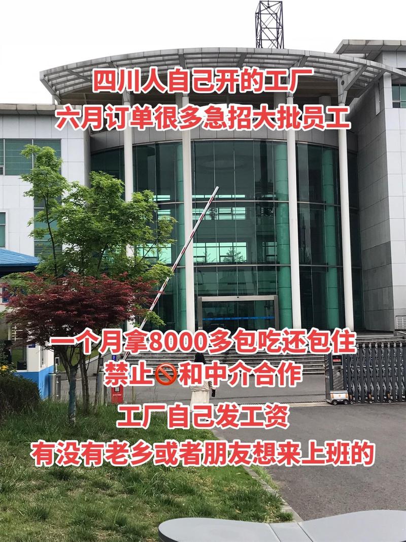 海口秀英區暉熙宇信息咨詢服務部:#成都找工作 #男女不限 #長白班坐班